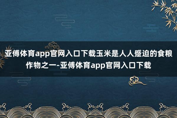 亚傅体育app官网入口下载玉米是人人蹙迫的食粮作物之一-亚傅体育app官网入口下载